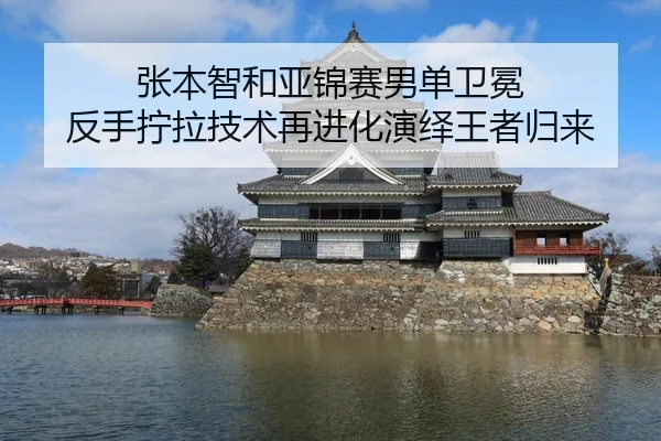张本智和亚锦赛男单卫冕 反手拧拉技术再进化演绎王者归来